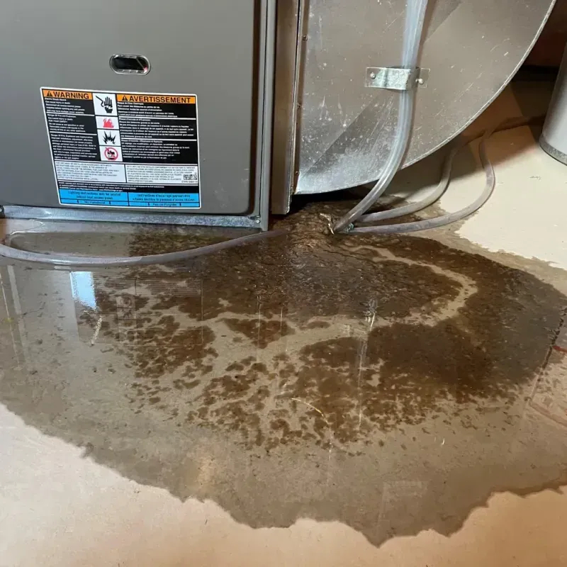 Appliance Leak Cleanup in Purdy, MO